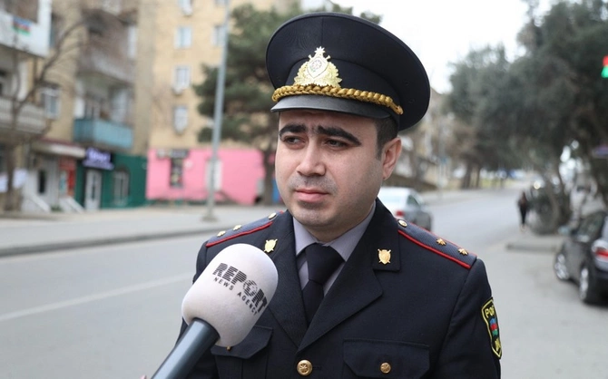 İtlərlə ortaq dənizimiz var — ARAŞDIRMA