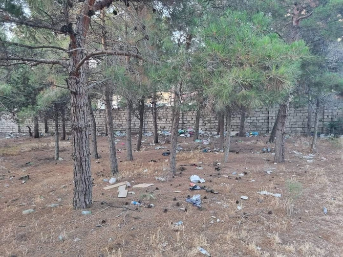 Bakıxanov meşə zolağının acınacaqlı vəziyyəti — FOTOLAR