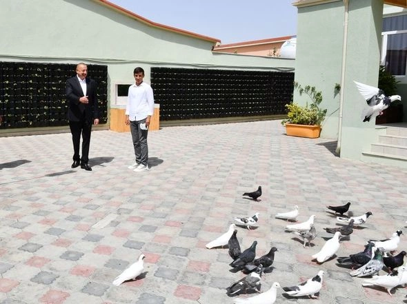 Prezident Ramana qəsəbəsində görülən abadlıq işləri ilə tanış oldu — FOTOLAR Prezident Ramana qəsəbəsində görülən abadlıq işləri ilə tanış oldu — FOTOLAR