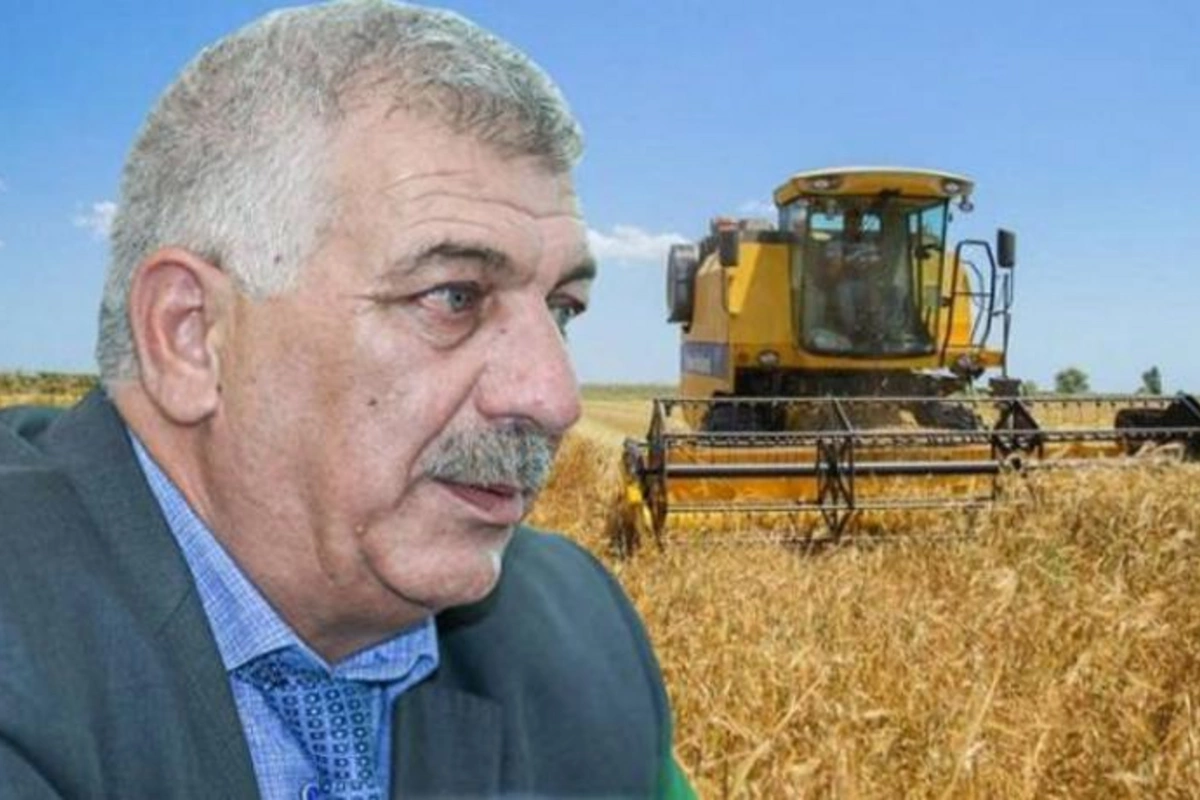 Taxıl Fondunun rəisi təqaüdə göndərilib — Dövlət Ehtiyatları Agentliyi nə işlə məşğuldur?
