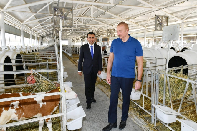 Prezident İlham Əliyev “Ağsu Aqropark”ın fəaliyyəti ilə tanış oldu — YENİLƏNİB/FOTO Prezident İlham Əliyev “Ağsu Aqropark”ın fəaliyyəti ilə tanış oldu — YENİLƏNİB/FOTO