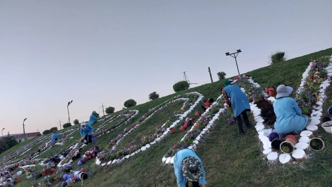 Abşeronda yaşıllaşdırma işləri davam edir — FOTOLAR