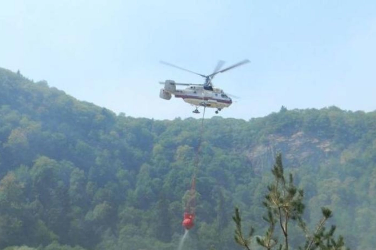 Şabran və Qəbələdə yanğının söndürülməsinə helikopter və mühafizə qüvvələri cəlb olundu — YENİLƏNDİ (VİDEO)