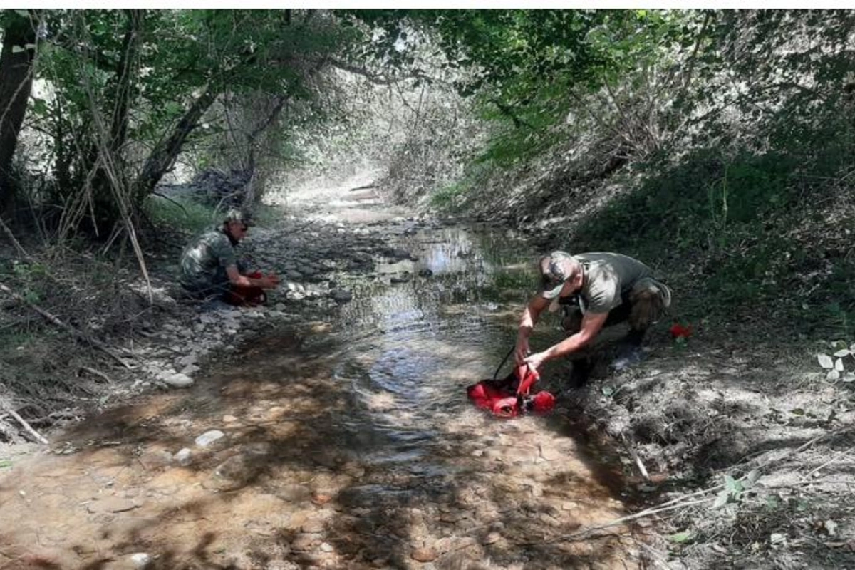“Qalaaltı”nın yaxınlığındakı meşədə baş verən yanğın söndürüldü