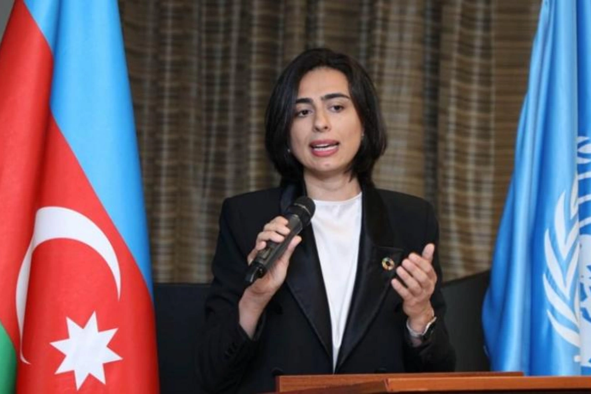 BMT nümayəndəsi: “Azərbaycanın bu istiqamətdə gördüyü işləri dəstəkləyirik”