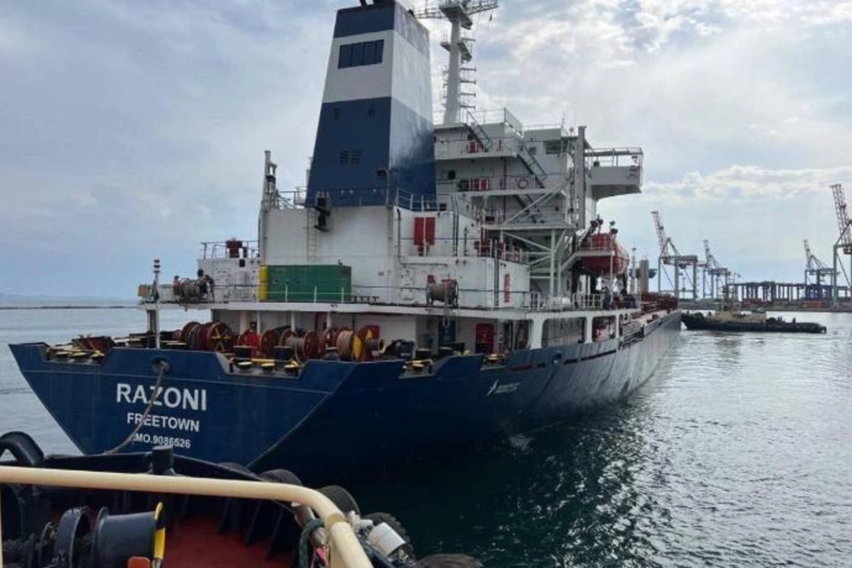 Odessa limanından yola düşən taxıl daşıyan gəmi İstanbul boğazına çatır