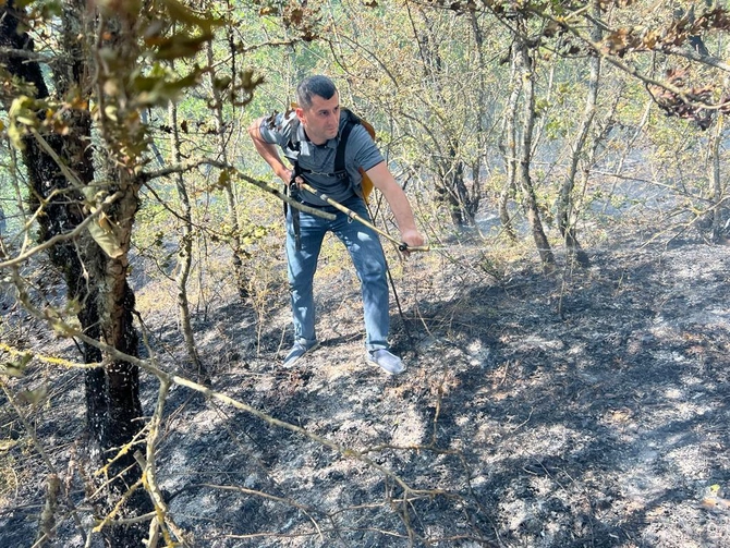 Qubada meşənin 500 hektarı yandı, yanğın lokallaşdırıldı — FOTOLAR