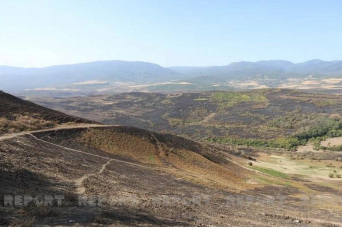 Şabranın bəzi kəndlərində yanğınlar söndürüldü — FOTOLAR