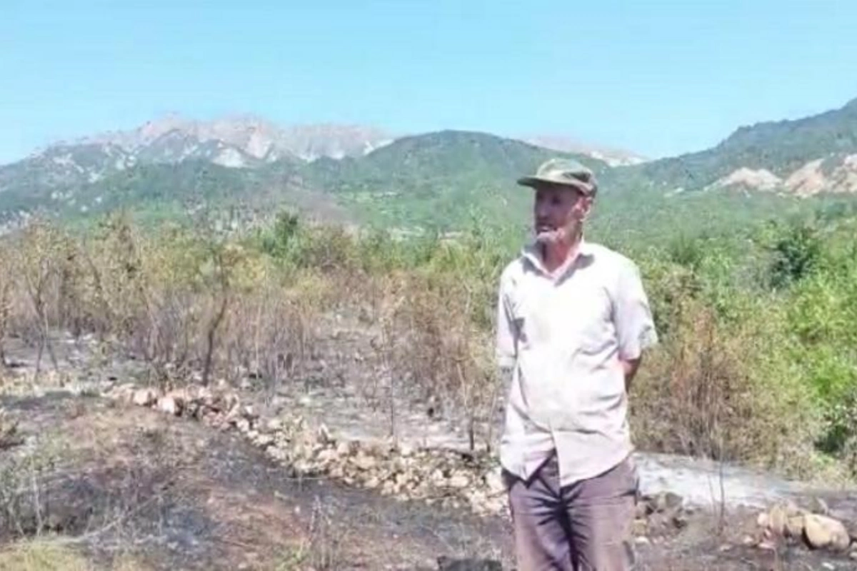 İsmayıllıda qəsdən yanğın törədən şəxs saxlanıldı — VİDEO