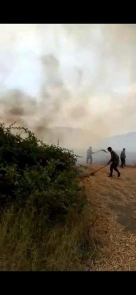 FHN: Siyəzən və Şabrandakı yanğınlar tam söndürülüb — FOTOLAR FHN: Siyəzən və Şabrandakı yanğınlar tam söndürülüb — FOTOLAR