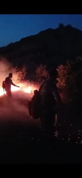 FHN: Siyəzən və Şabrandakı yanğınlar tam söndürülüb — FOTOLAR FHN: Siyəzən və Şabrandakı yanğınlar tam söndürülüb — FOTOLAR