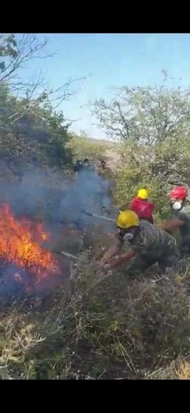 FHN: Siyəzən və Şabrandakı yanğınlar tam söndürülüb — FOTOLAR FHN: Siyəzən və Şabrandakı yanğınlar tam söndürülüb — FOTOLAR