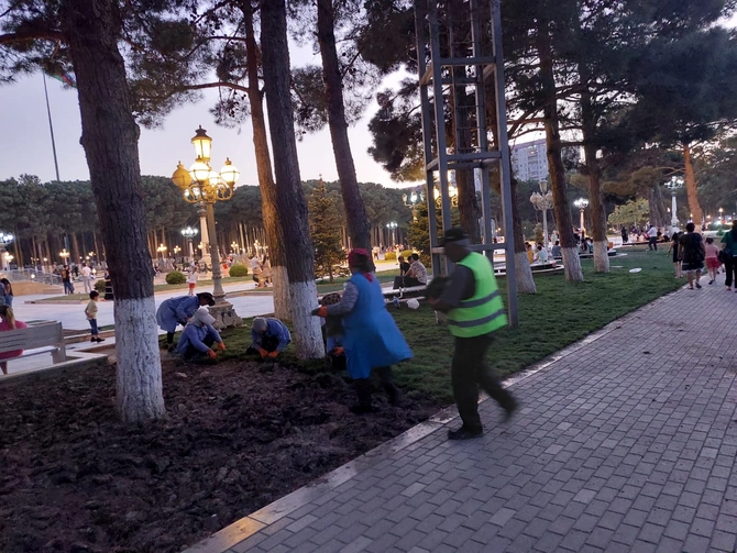 Abşeronda yeni yaşıllıq sahələri salınır — FOTOLAR