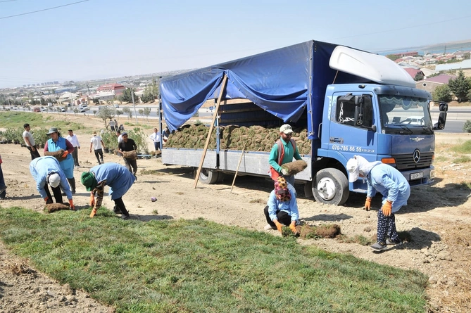 Abşeronda yeni yaşıllıq sahələri salınır — FOTOLAR