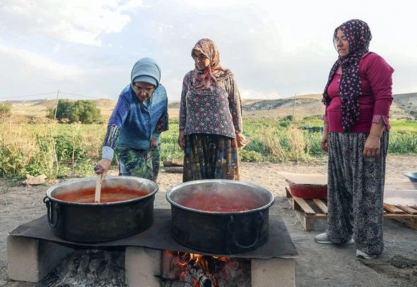 Əminə Ərdoğan pomidor yığımında iştirak etdi — FOTOLAR