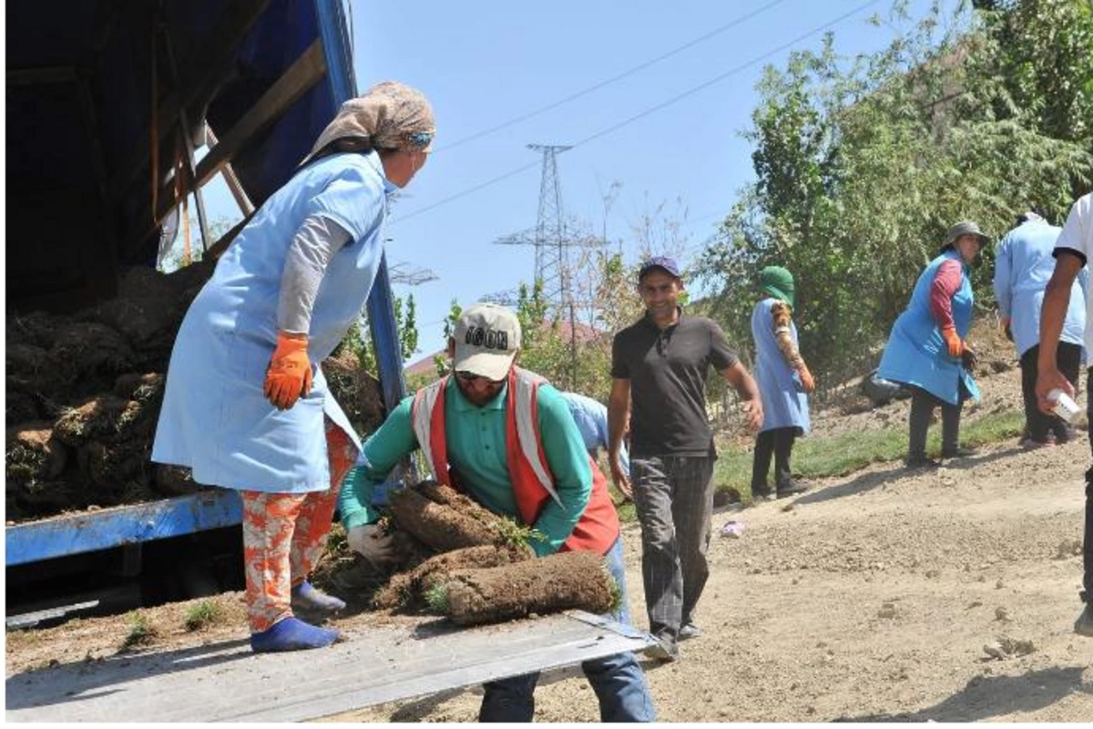 Abşeronda yeni yaşıllıq sahələri salınır — FOTOLAR