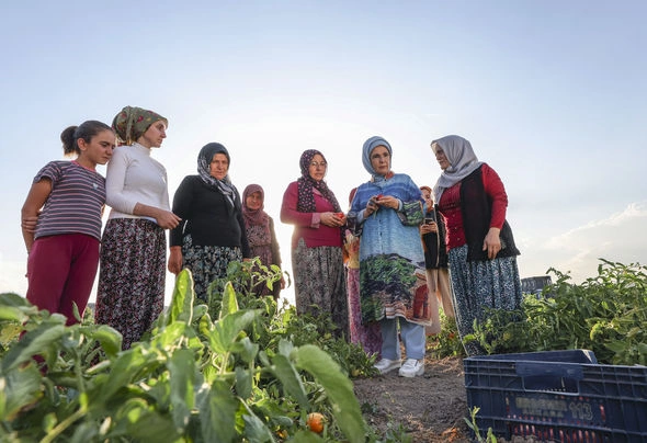 Əminə Ərdoğan pomidor yığımında iştirak etdi — FOTOLAR