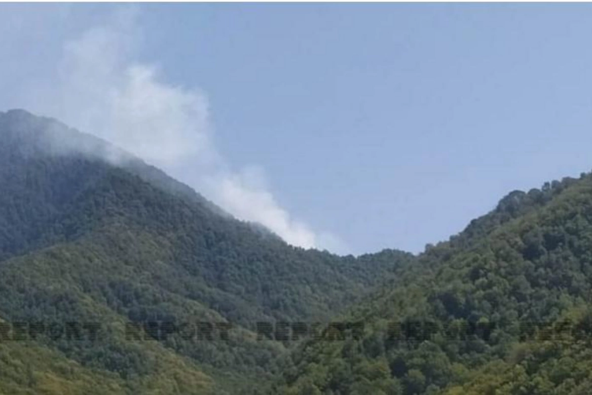 Oğuzda meşə yanır — FOTO