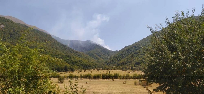 Oğuzda meşə yanır — FOTO