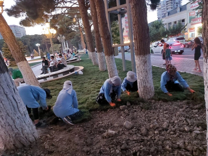Abşeronda yeni yaşıllıq sahələri salınır — FOTOLAR
