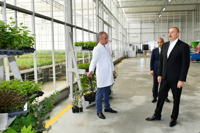 İlham Əliyev və Mehriban Əliyeva “Grand-Agro İnvitro” MMC-nin müəssisəsi ilə tanış oldu — FOTOLAR