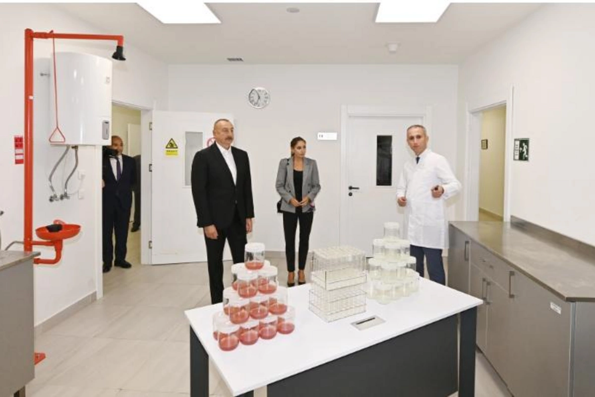 İlham Əliyev və Mehriban Əliyeva “Grand-Agro İnvitro” MMC-nin müəssisəsi ilə tanış oldu — FOTOLAR