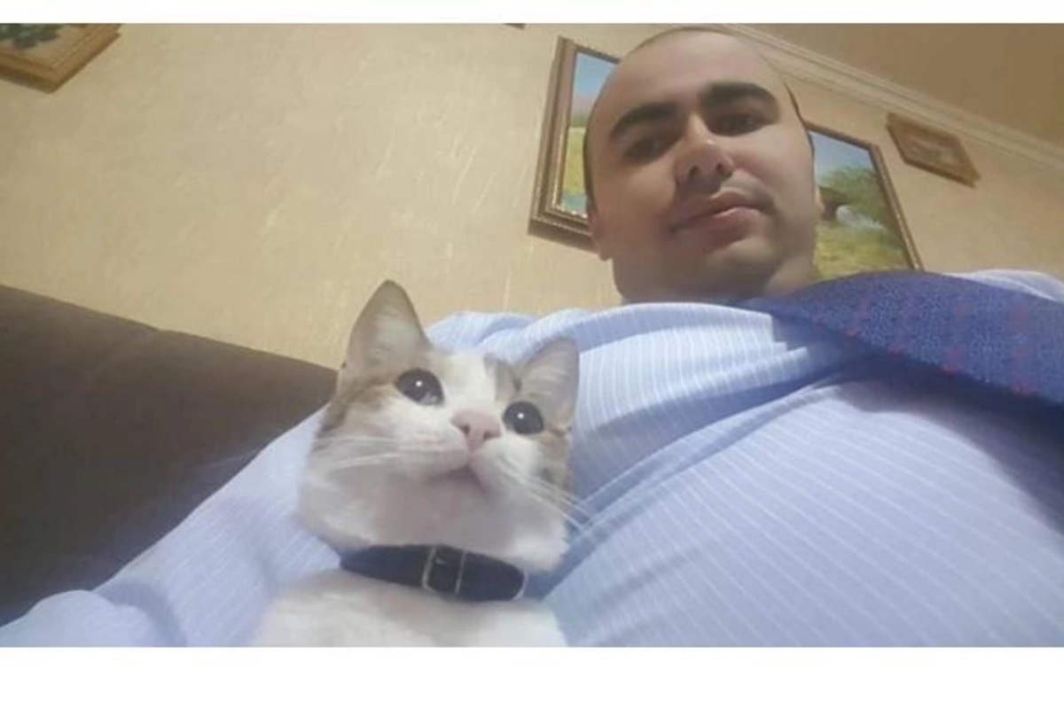 Əli Həsənovun oğlu məşhur pişiyini də ABŞ-a apardı