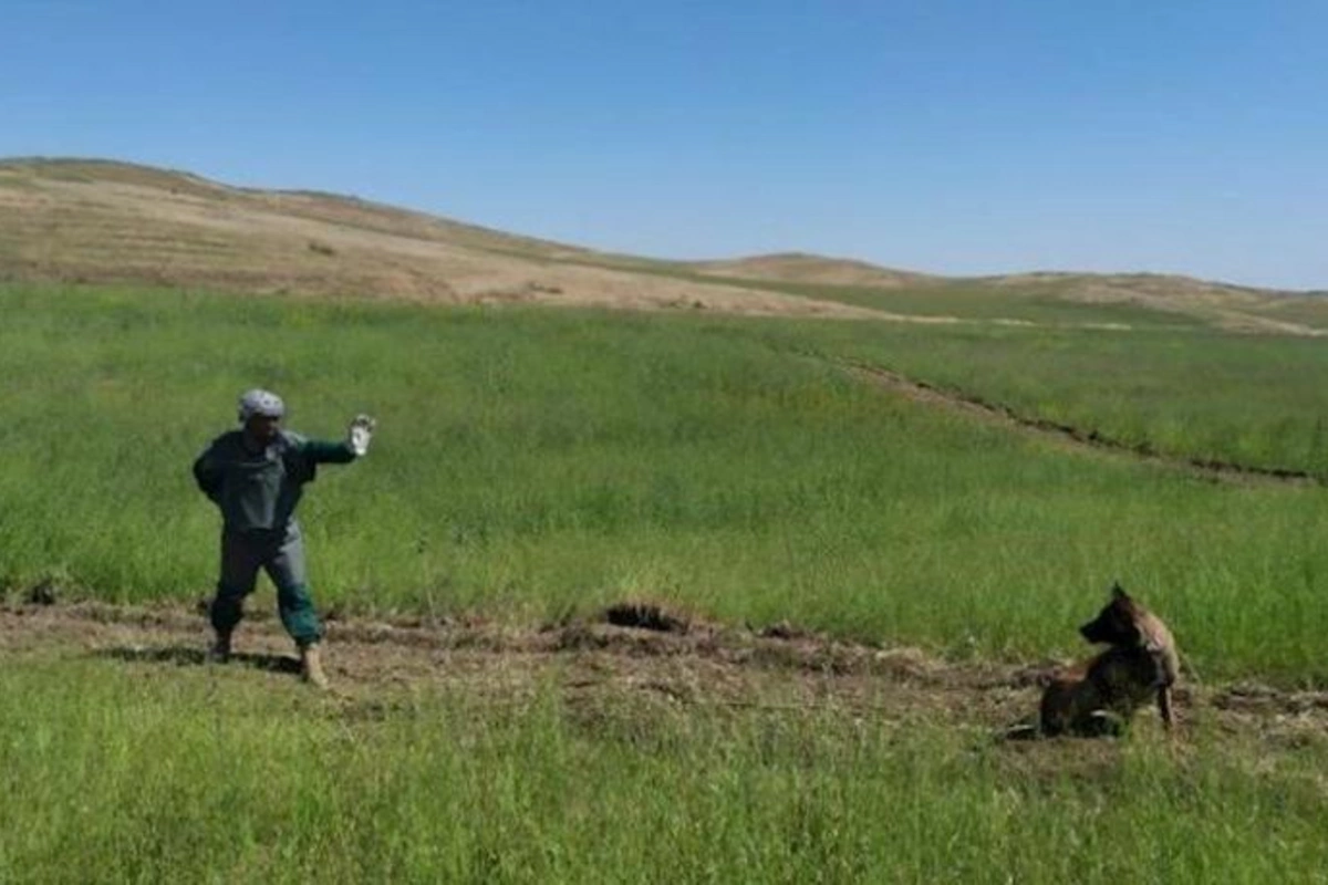 Hikmət Hacıyev minaya düşüb ölən Dina ilə bağlı paylaşım etdi — FOTO