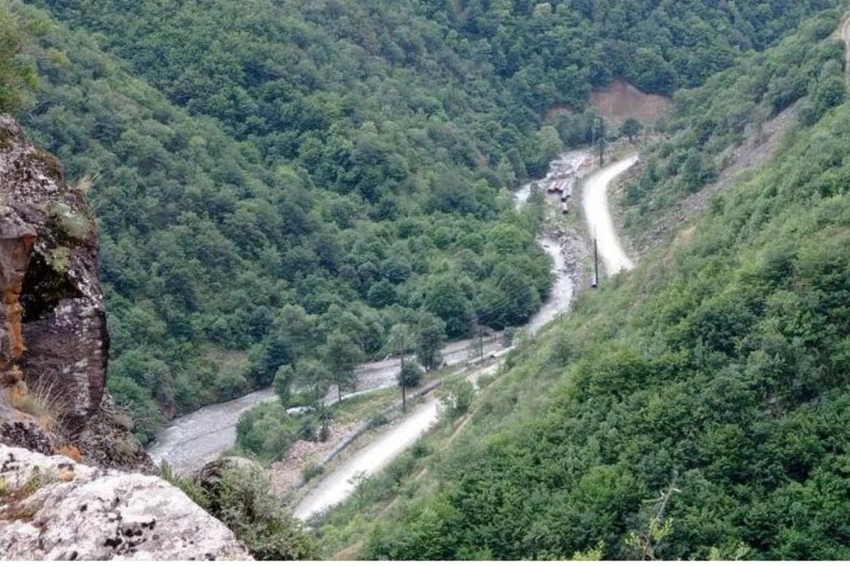 Kəlbəcərdə bədbəxt hadisə: ayı bir nəfəri parçaladı — FOTOLAR