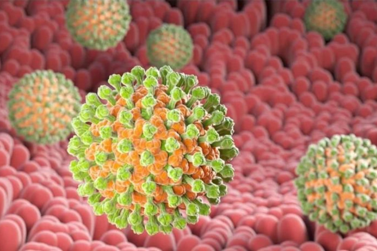 Bu virus uşaqlar üçün çox təhlükəlidir — Tanınmış pediatrdan AÇIQLAMA
