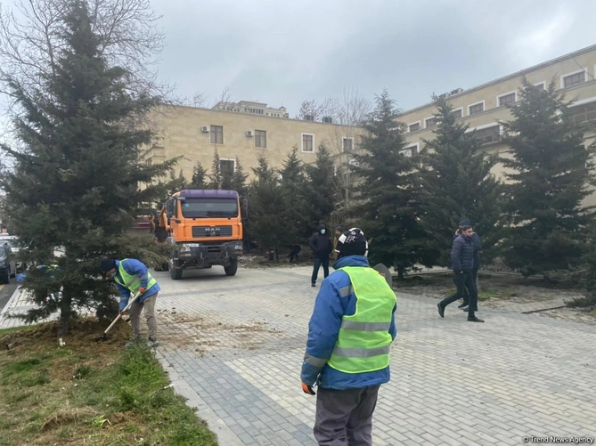 Bakının mərkəzində əvvəl ağacları çıxardılar, indi də obyekt tikirlər — FOTO Bakının mərkəzində əvvəl ağacları çıxardılar, indi də obyekt tikirlər — FOTO