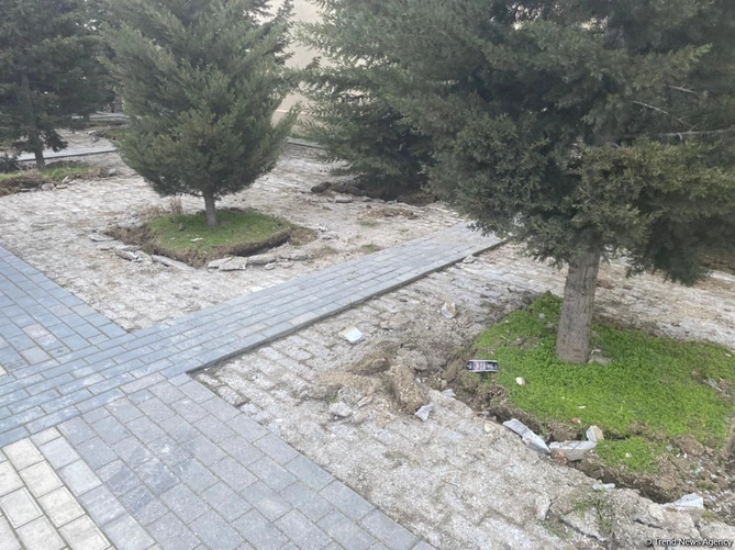 Bakının mərkəzində əvvəl ağacları çıxardılar, indi də obyekt tikirlər — FOTO Bakının mərkəzində əvvəl ağacları çıxardılar, indi də obyekt tikirlər — FOTO