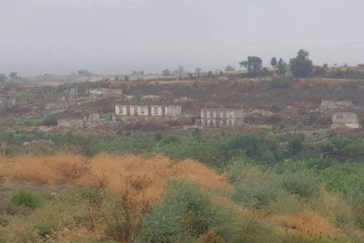 AMEA: “Şuşada işğalçıların dağıtdığı meşələrin yerini kolluq basıb” — FOTO