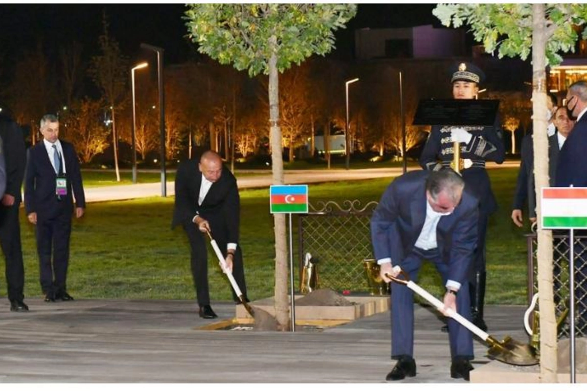 Dövlət başçıları Səmərqənddə ağac əkdilər — FOTO