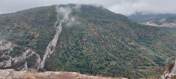 AMEA: “Şuşada işğalçıların dağıtdığı meşələrin yerini kolluq basıb” — FOTO AMEA: “Şuşada işğalçıların dağıtdığı meşələrin yerini kolluq basıb” — FOTO