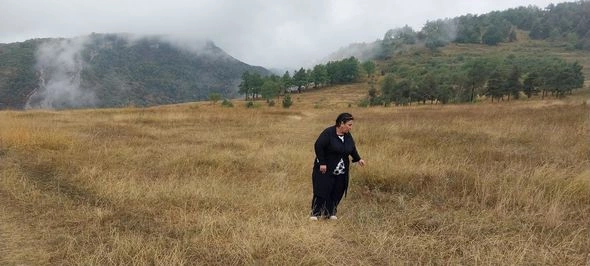 AMEA: “Şuşada işğalçıların dağıtdığı meşələrin yerini kolluq basıb” — FOTO AMEA: “Şuşada işğalçıların dağıtdığı meşələrin yerini kolluq basıb” — FOTO