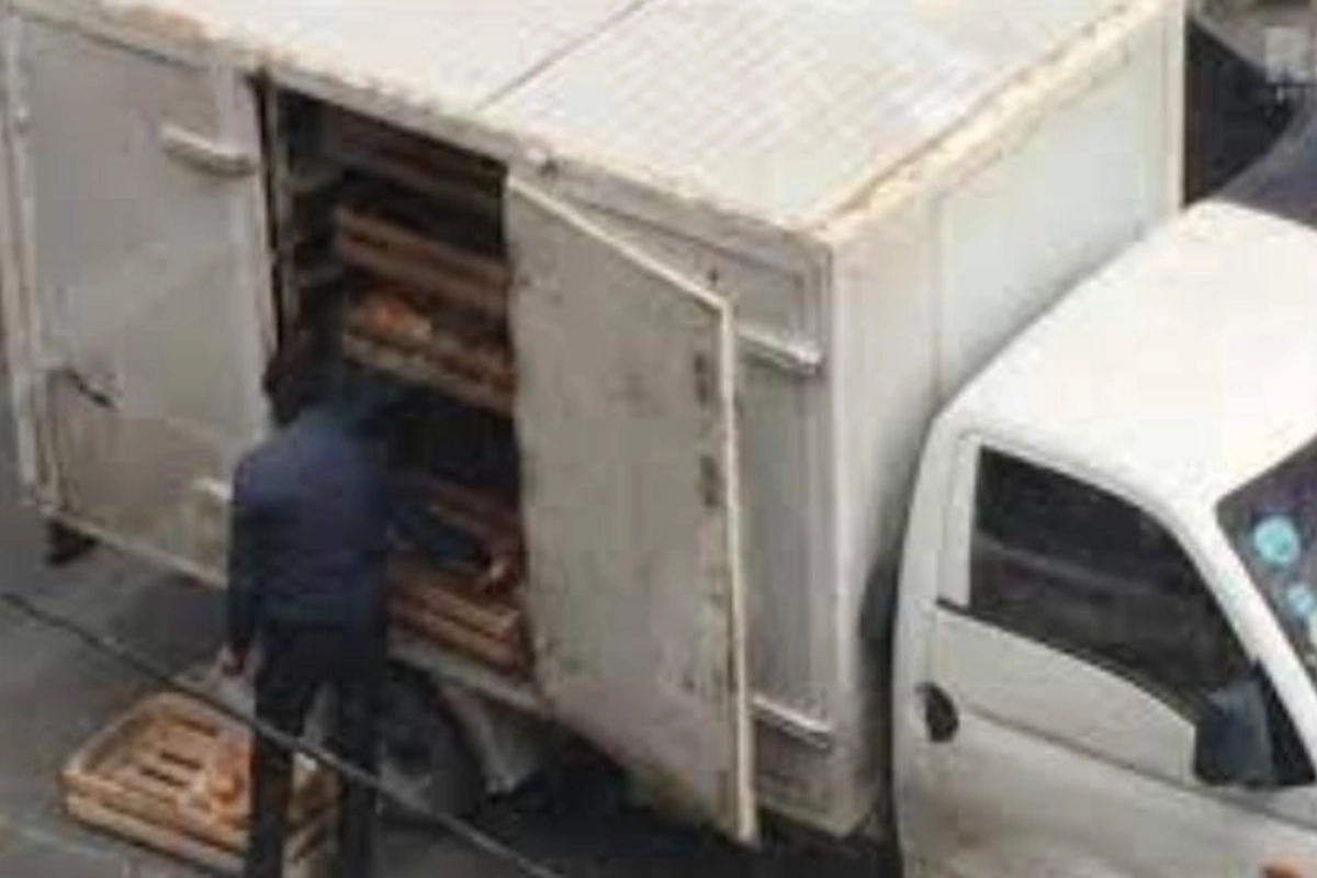 “Binə”dən daşıyıcı şirkətə qarşı İDDİA