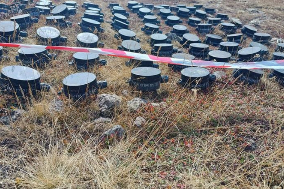 Ermənilərin Laçında basdırdığı daha 90 ədəd mina aşkarlanıb