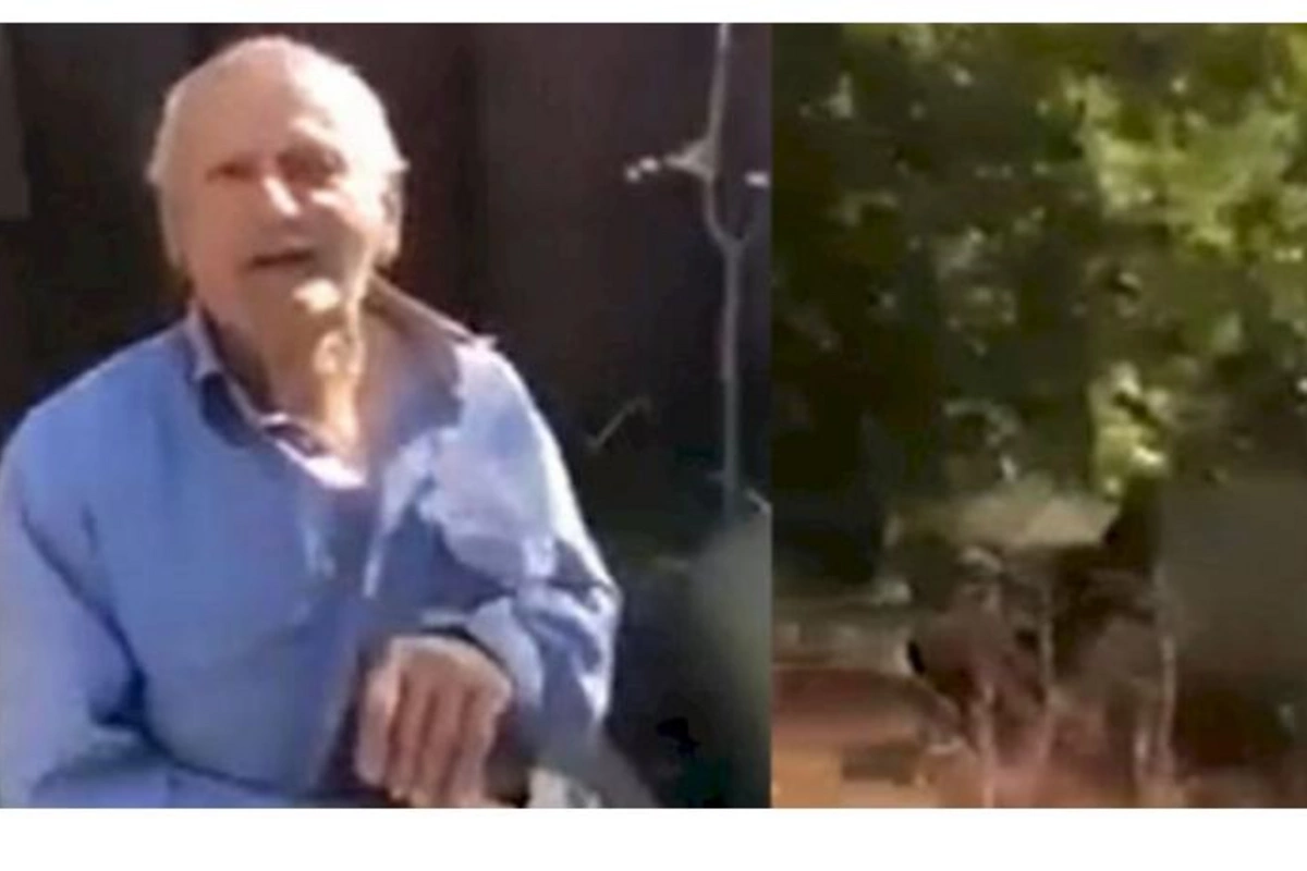 Erməni kişinin səsləndirdiyi zəngəzurlu Səməd Qarayevin ailəsi danışdı — VİDEO