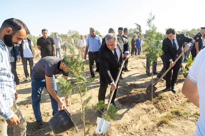 Vətən müharibəsi şəhidlərinin xatirəsi Salyanda anıldı — FOTOLAR