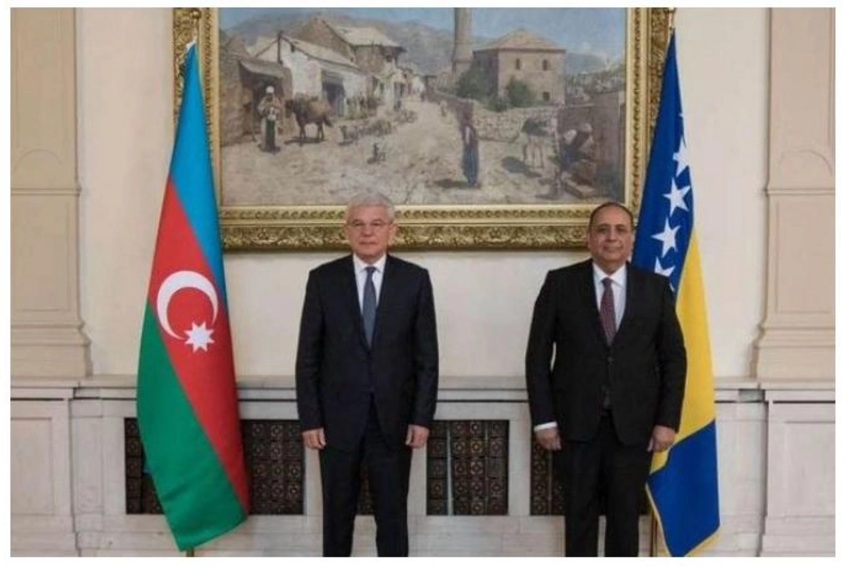 Vilayət Quliyev etimadnaməsini Bosniya və Herseqovina liderinə təqdim edib