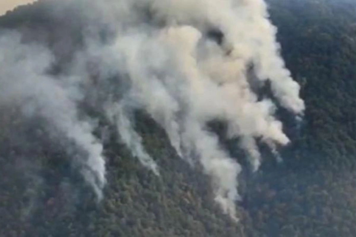 FHN Zaqataladakı yanğınla bağlı məlumat yaydı