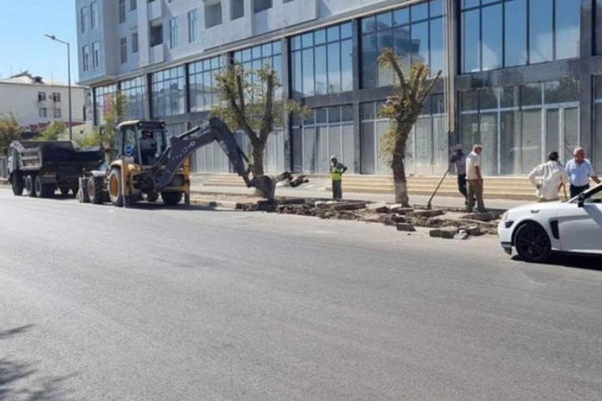 Sumqayıtda parkinq üçün yaşıllıq ərazi sökülür? — AÇIQLAMA