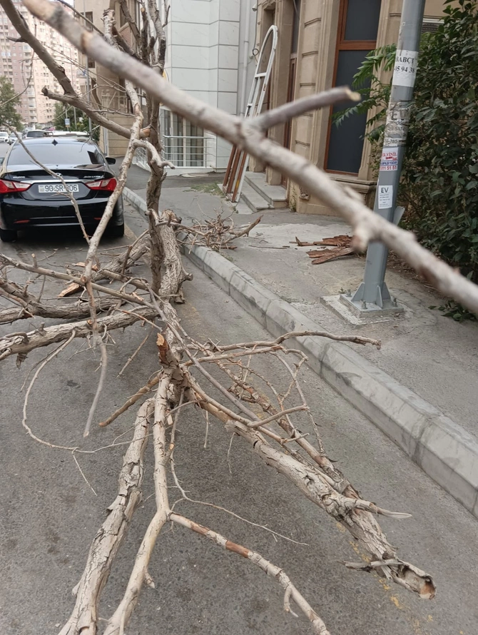 Küləyin paytaxtdakı fəsadları — FOTOLAR