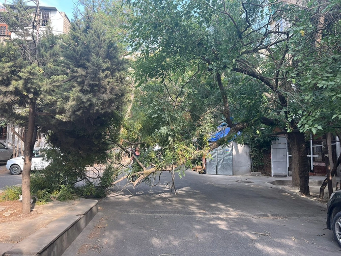 Küləyin paytaxtdakı fəsadları — FOTOLAR