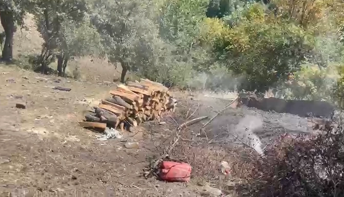 Qanunsuz çalışan ocaqxanaların fəaliyyəti dayandırıldı — VİDEO