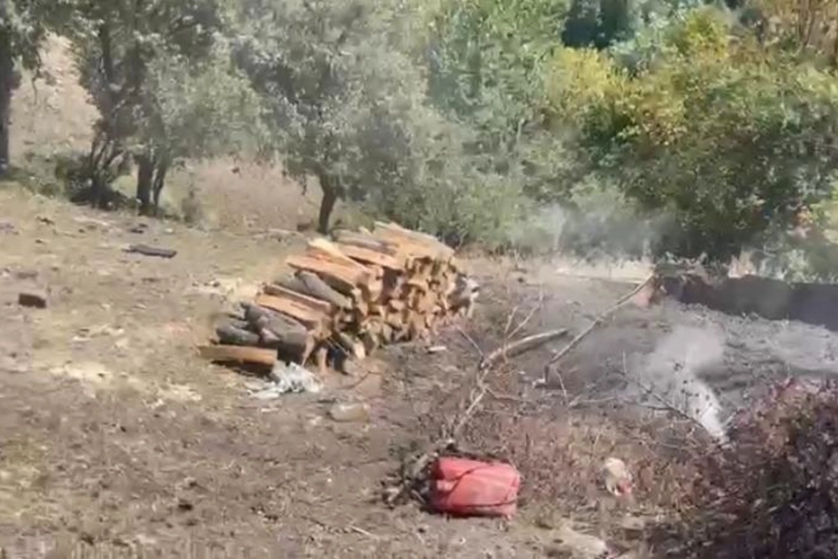 Qanunsuz çalışan ocaqxanaların fəaliyyəti dayandırıldı — VİDEO