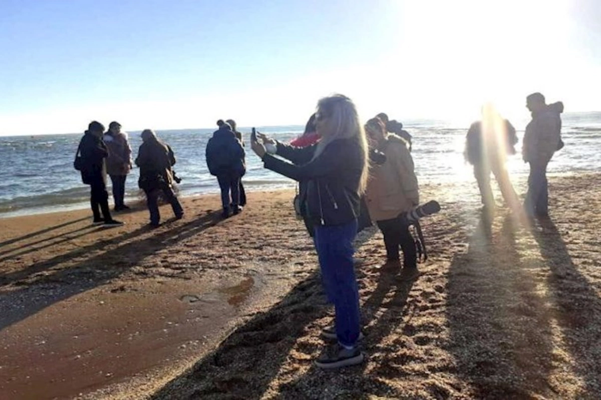 Bu il milli parklara daha çox turist cəlb etmək üçün işlərə başlanılıb