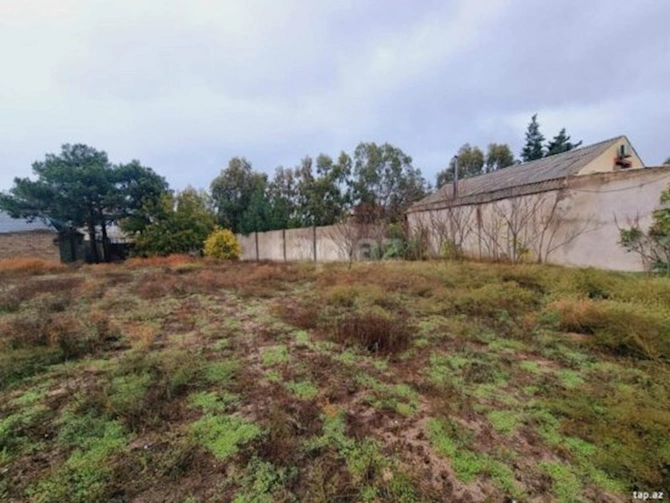 Salyanda 40 min sot torpaq 10 milyon manata satışa çıxarılıb — Əl yandıran bazar qiymətləri (FOTOLAR)