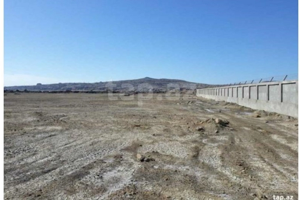 Salyanda 40 min sot torpaq 10 milyon manata satışa çıxarılıb — Əl yandıran bazar qiymətləri (FOTOLAR)